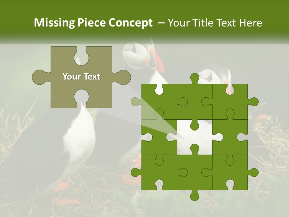 Cold White Condition PowerPoint Template