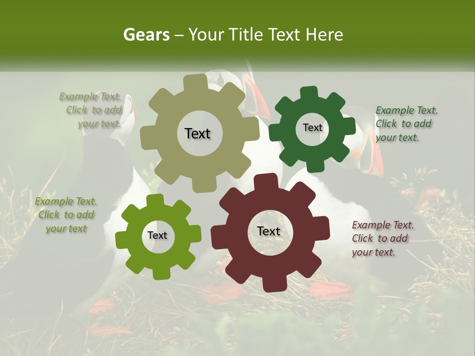 Cold White Condition PowerPoint Template