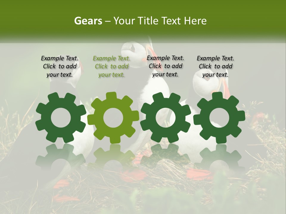 Cold White Condition PowerPoint Template