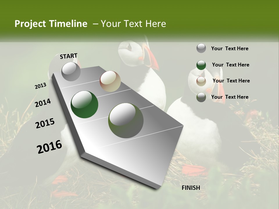 Cold White Condition PowerPoint Template