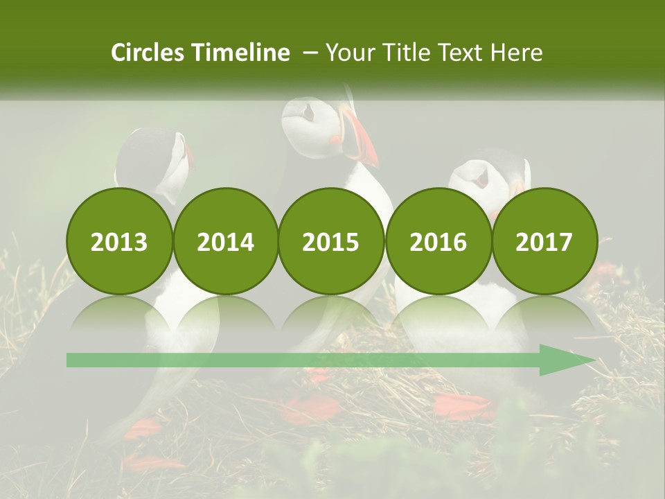 Cold White Condition PowerPoint Template