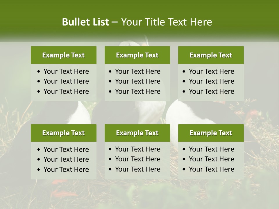 Cold White Condition PowerPoint Template