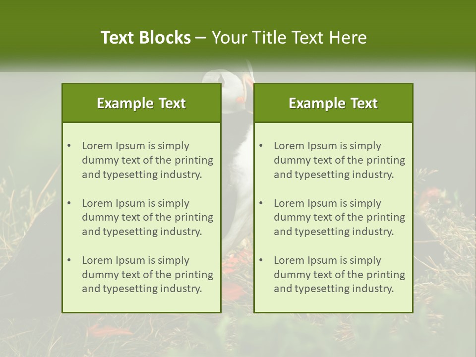 Cold White Condition PowerPoint Template