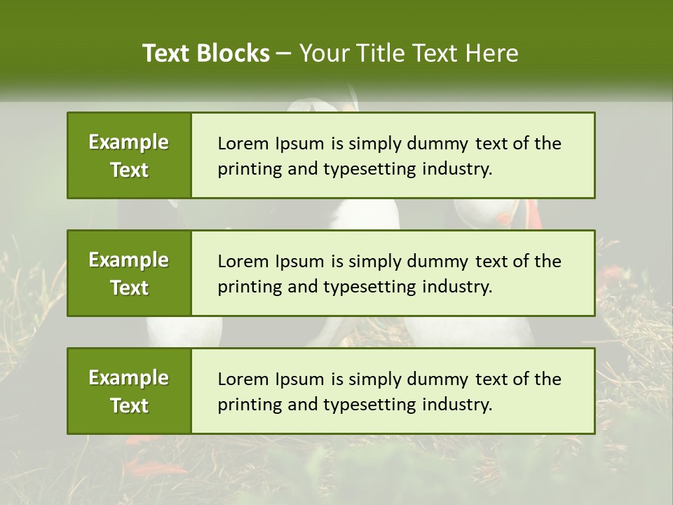 Cold White Condition PowerPoint Template