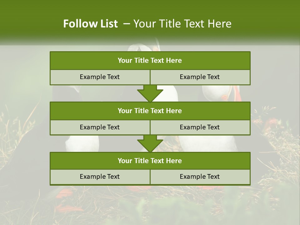 Cold White Condition PowerPoint Template