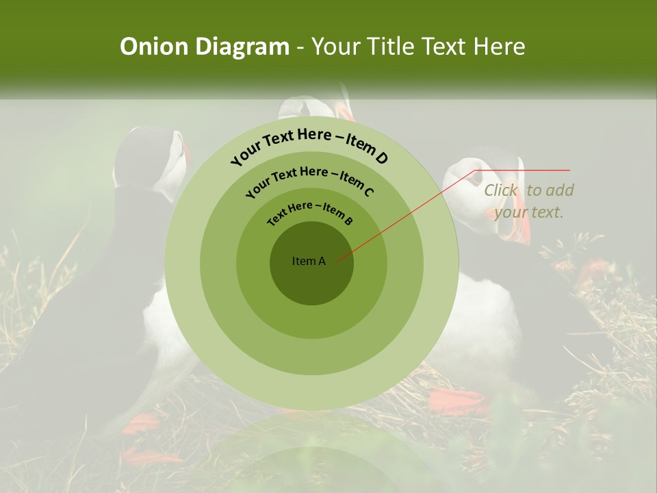 Cold White Condition PowerPoint Template