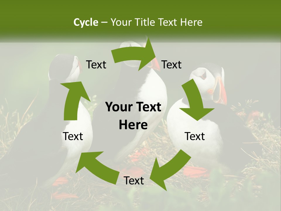 Cold White Condition PowerPoint Template