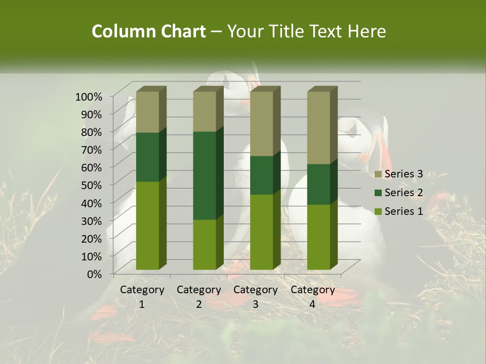 Cold White Condition PowerPoint Template