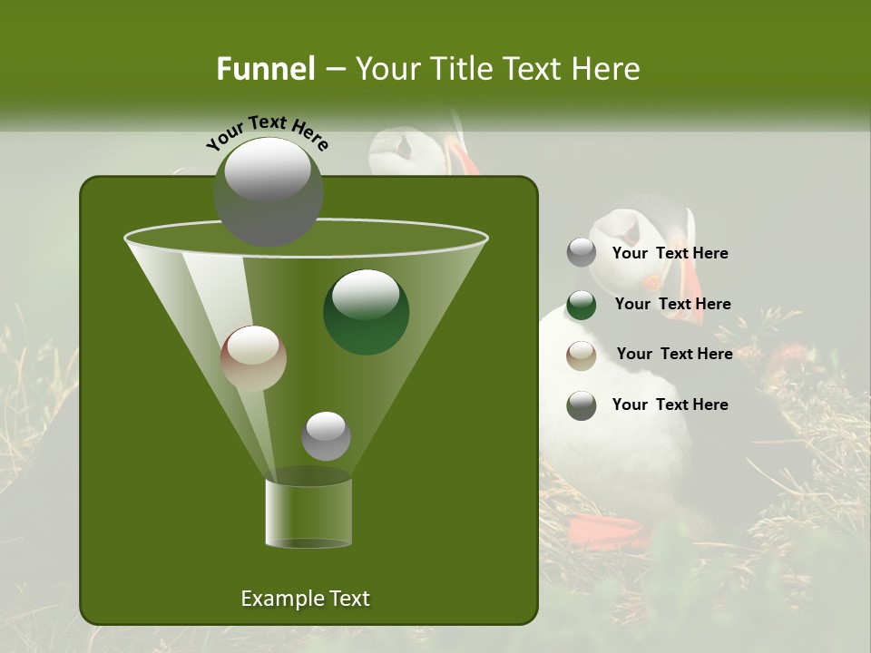 Cold White Condition PowerPoint Template