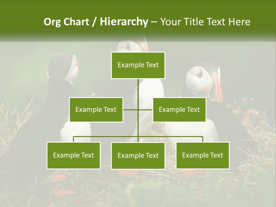 Cold White Condition PowerPoint Template