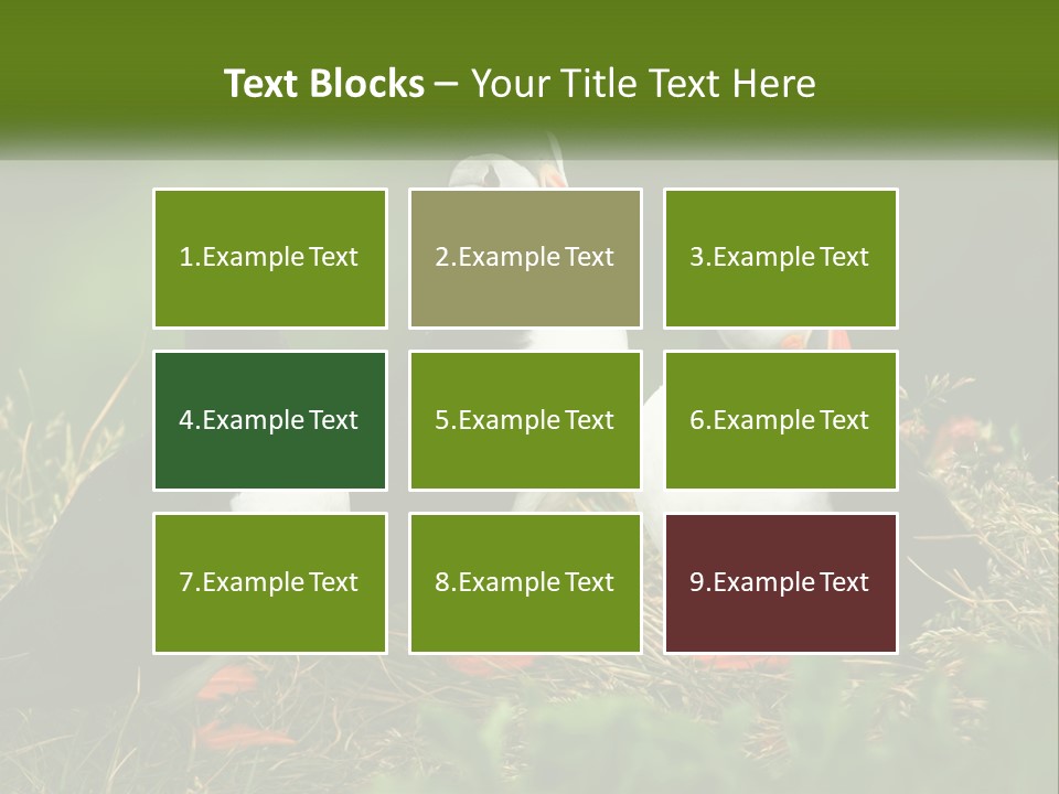 Cold White Condition PowerPoint Template