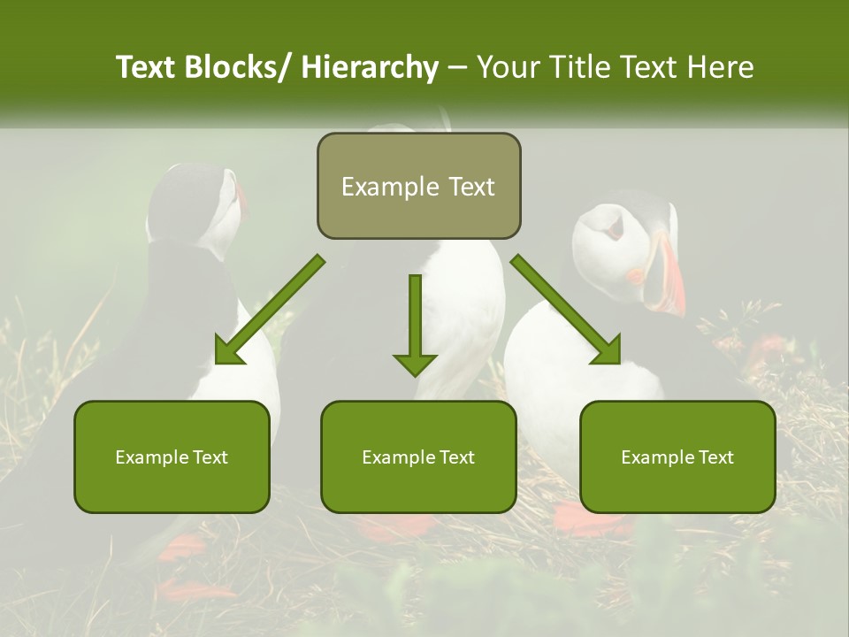 Cold White Condition PowerPoint Template