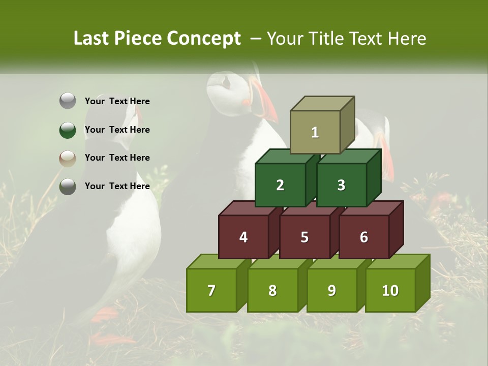 Cold White Condition PowerPoint Template