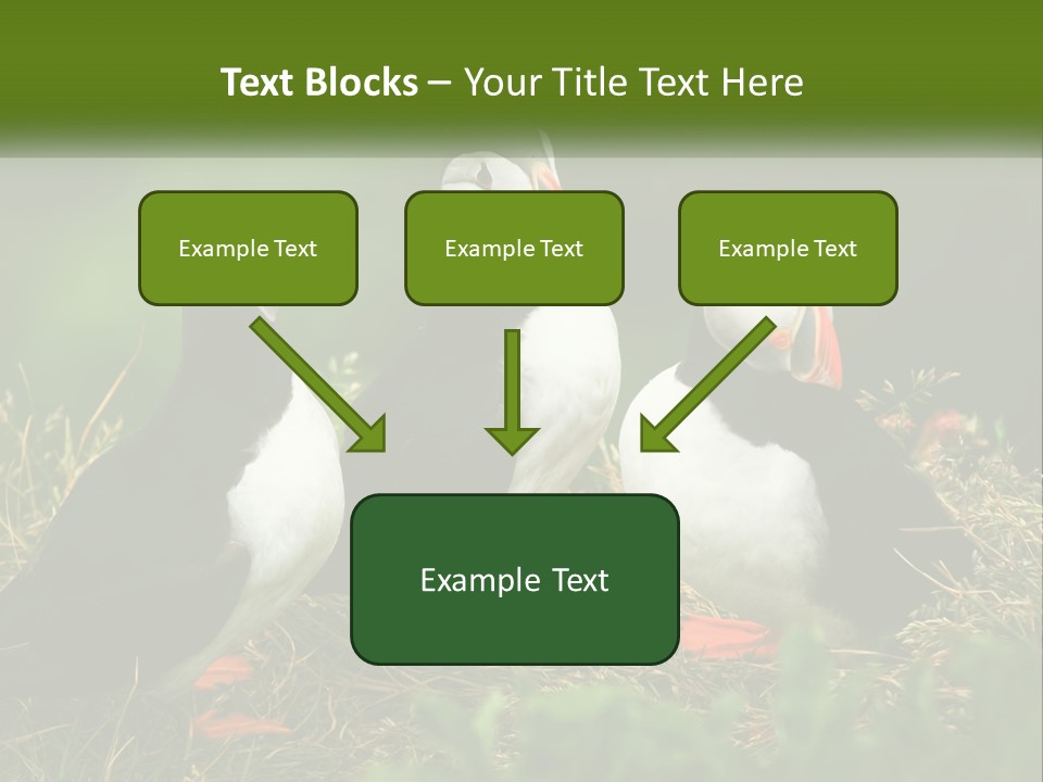 Cold White Condition PowerPoint Template
