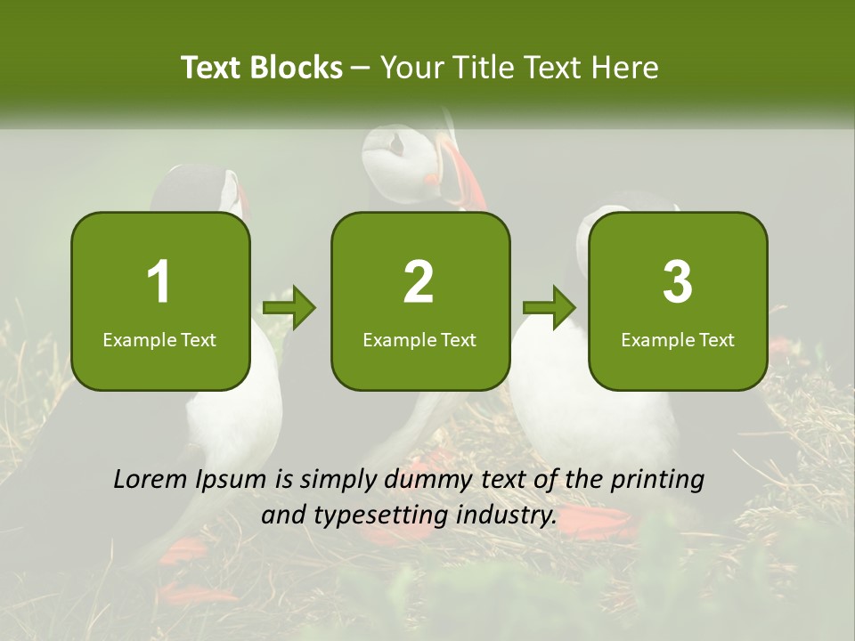 Cold White Condition PowerPoint Template