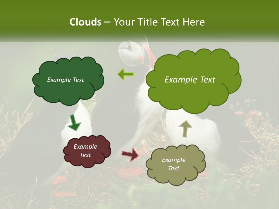 Cold White Condition PowerPoint Template