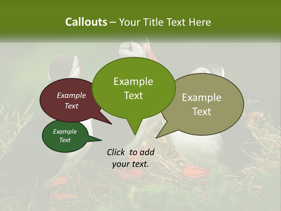 Cold White Condition PowerPoint Template