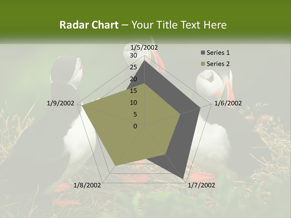 Cold White Condition PowerPoint Template