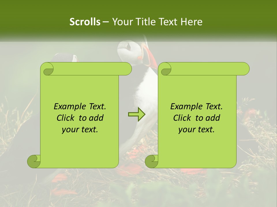 Cold White Condition PowerPoint Template