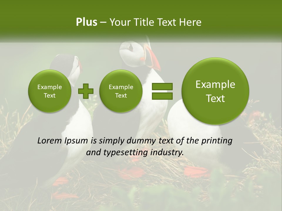 Cold White Condition PowerPoint Template