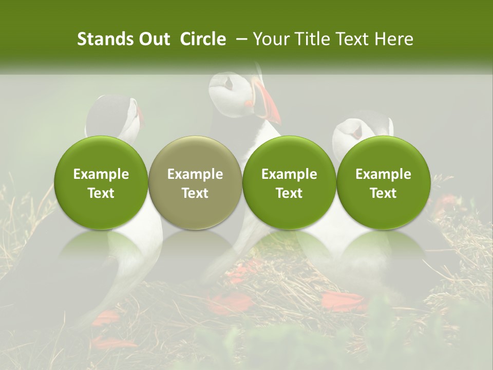 Cold White Condition PowerPoint Template