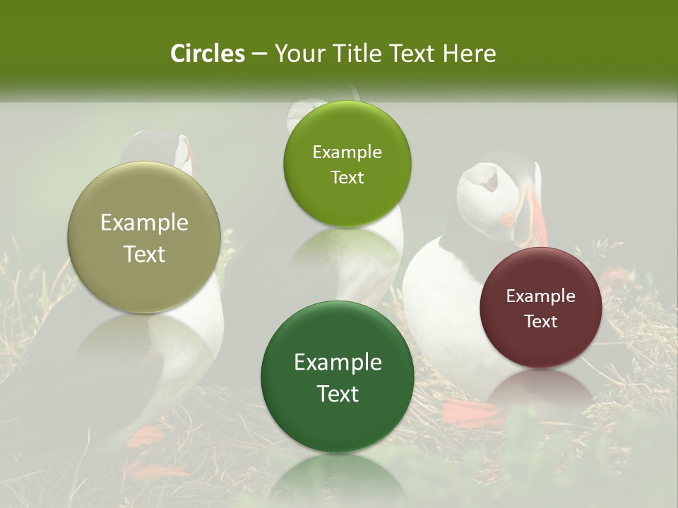 Cold White Condition PowerPoint Template