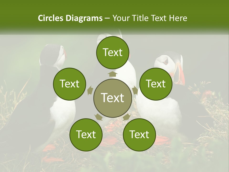 Cold White Condition PowerPoint Template