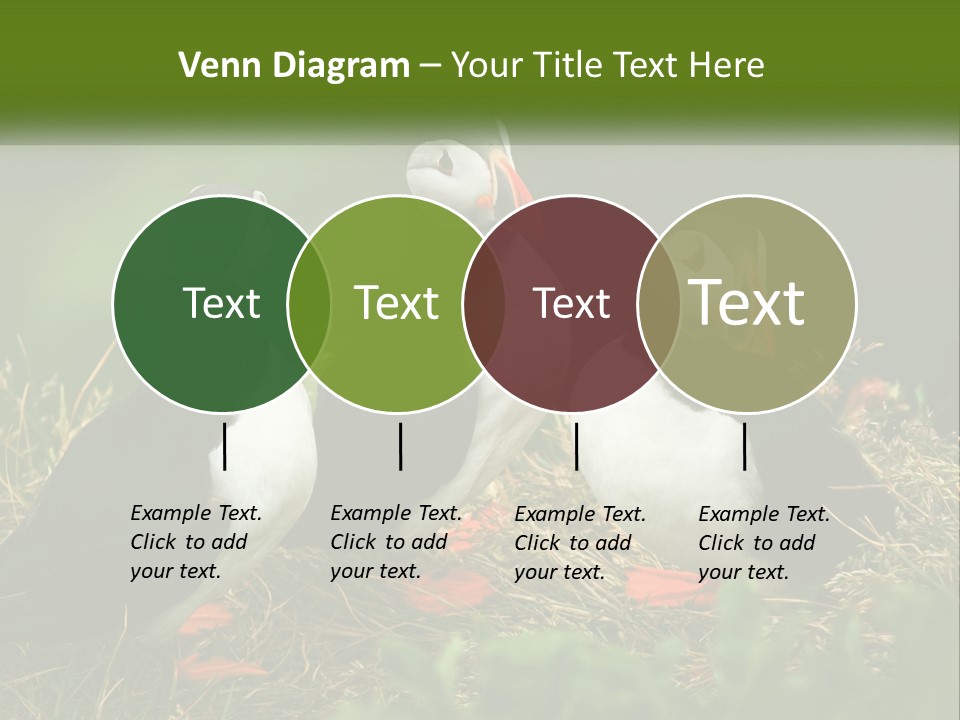 Cold White Condition PowerPoint Template