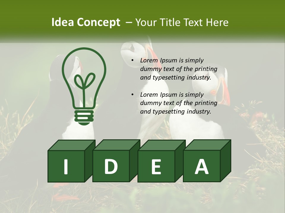 Cold White Condition PowerPoint Template