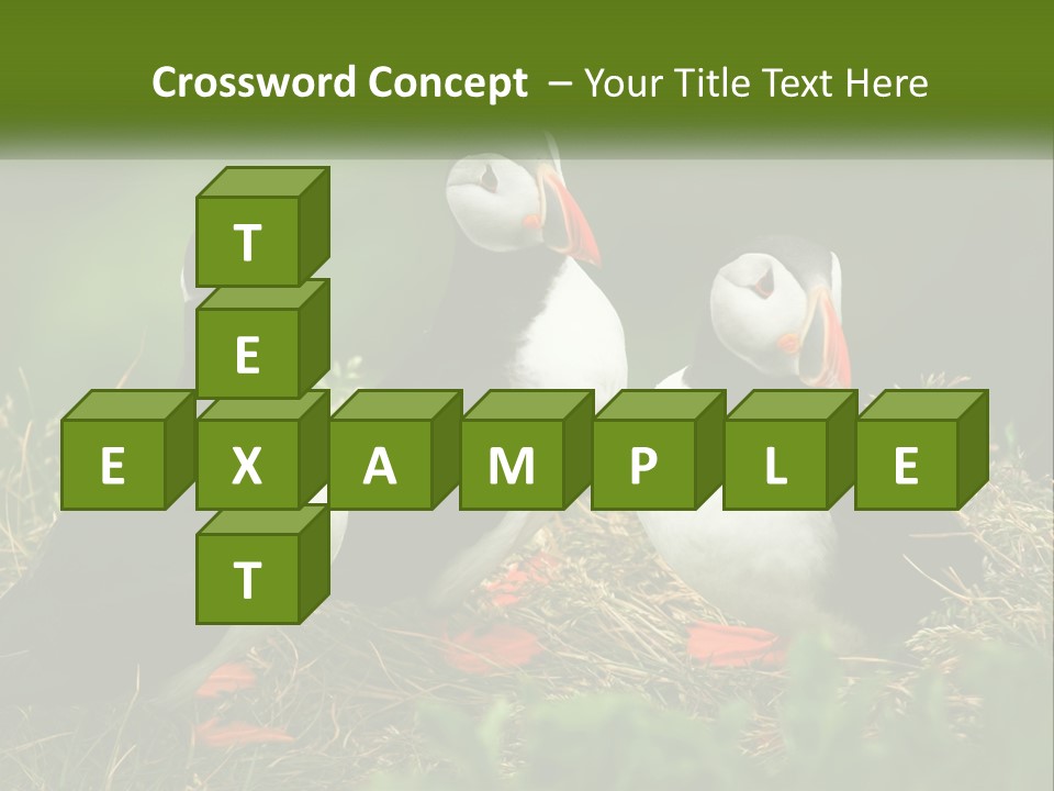 Cold White Condition PowerPoint Template