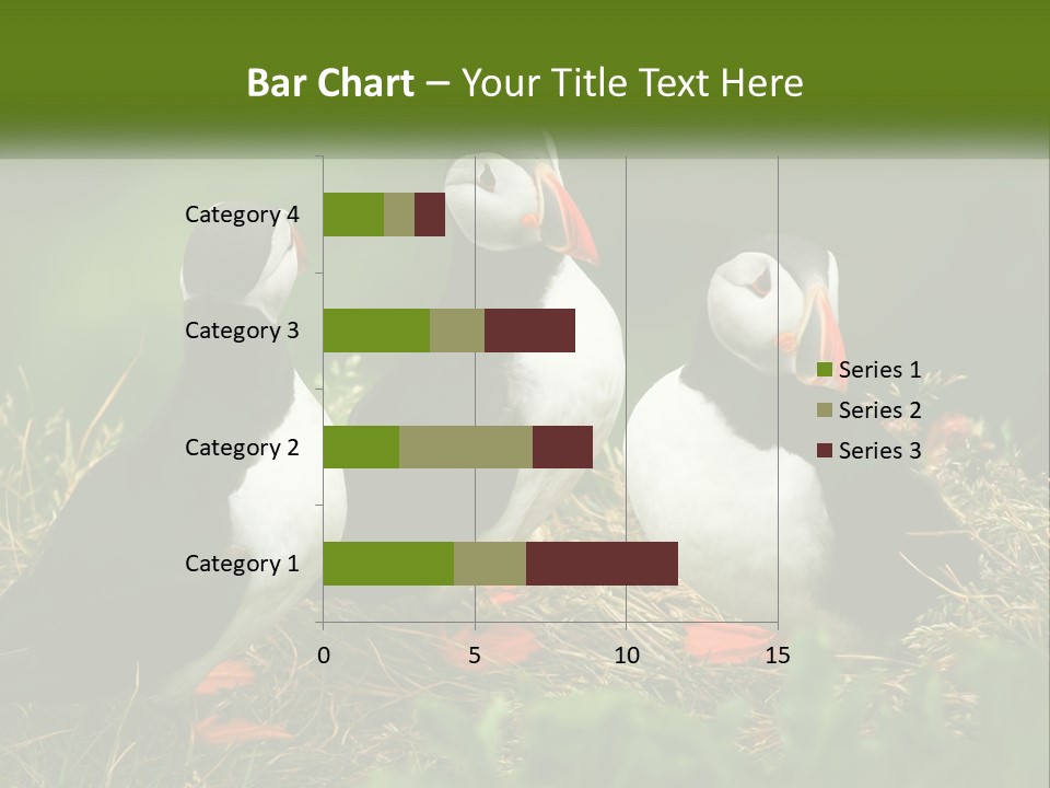 Cold White Condition PowerPoint Template