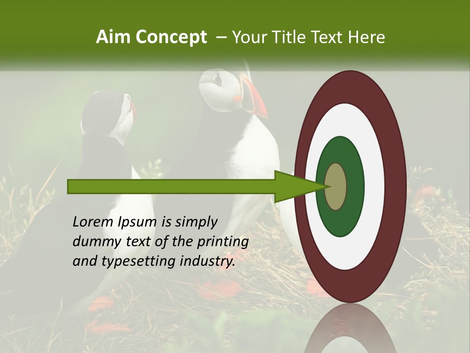 Cold White Condition PowerPoint Template