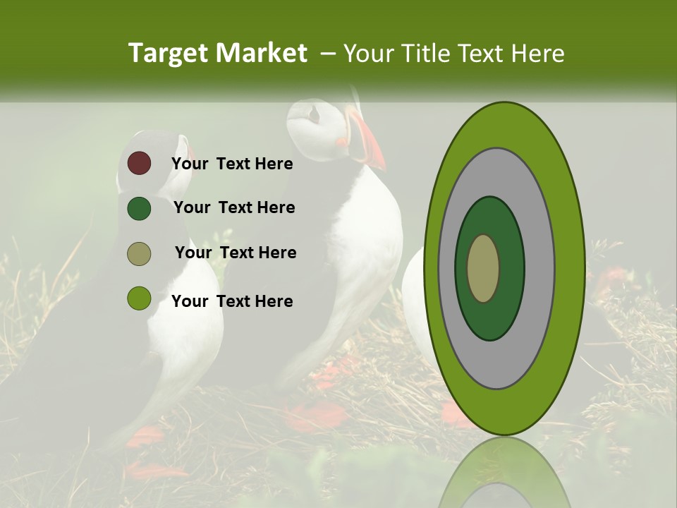 Cold White Condition PowerPoint Template