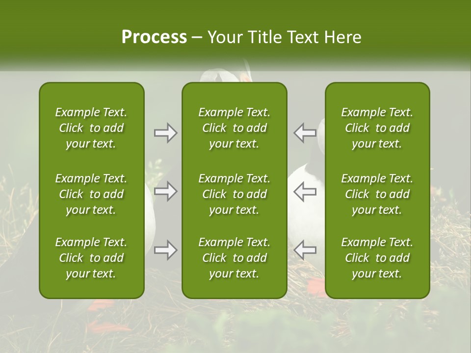 Cold White Condition PowerPoint Template