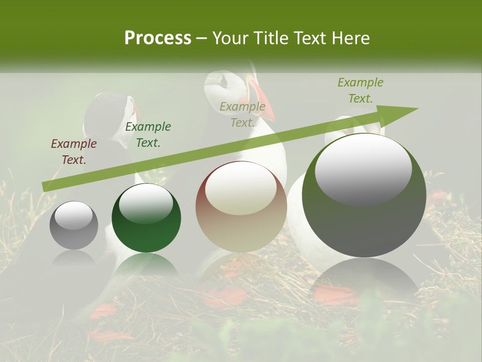Cold White Condition PowerPoint Template