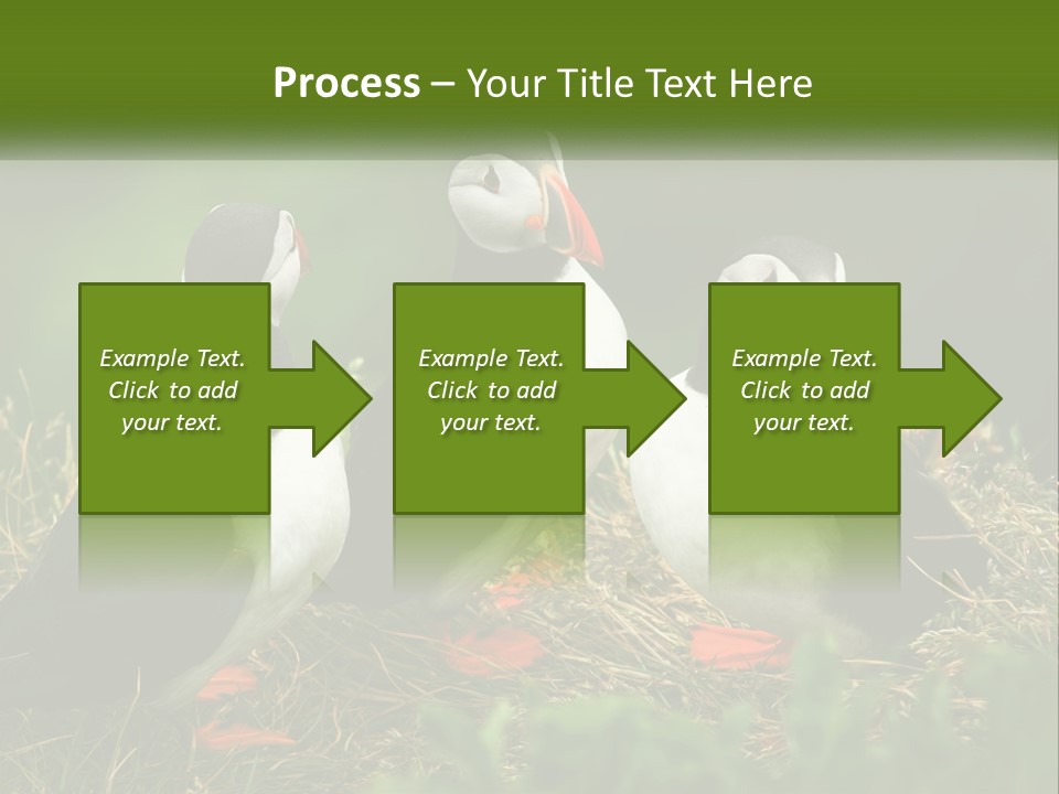 Cold White Condition PowerPoint Template