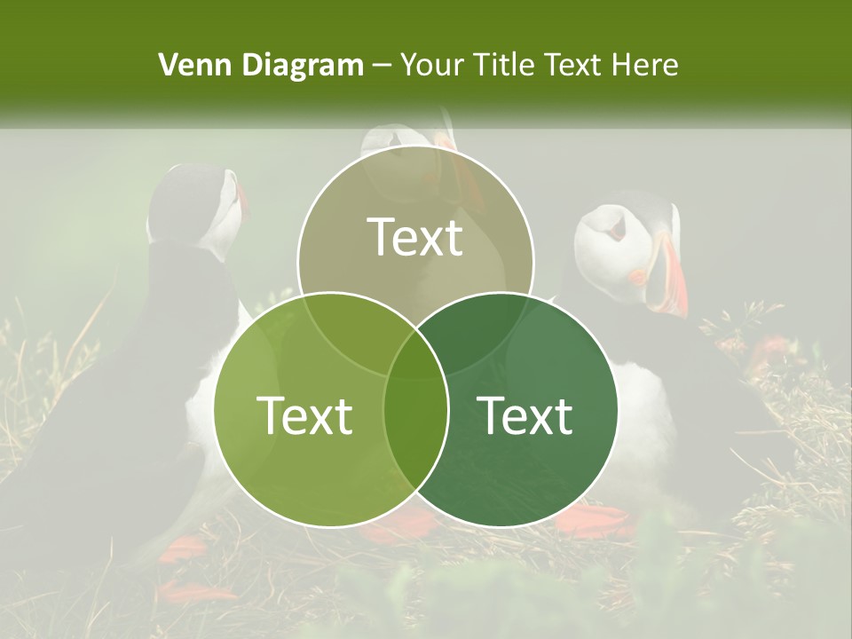 Cold White Condition PowerPoint Template