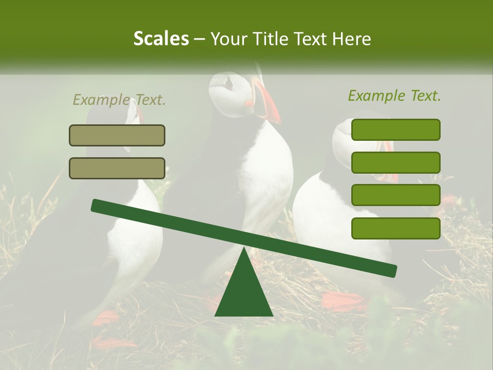 Cold White Condition PowerPoint Template
