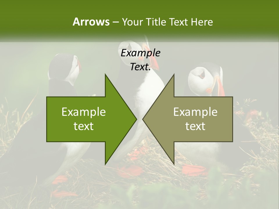 Cold White Condition PowerPoint Template