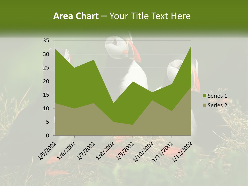Cold White Condition PowerPoint Template