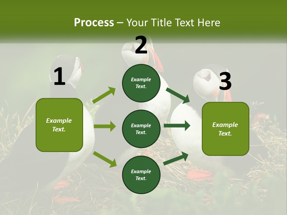 Cold White Condition PowerPoint Template