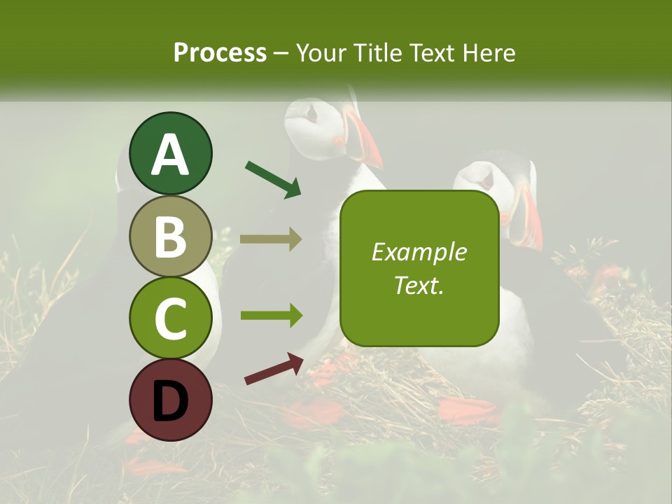 Cold White Condition PowerPoint Template