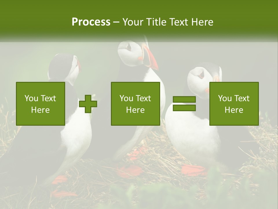 Cold White Condition PowerPoint Template