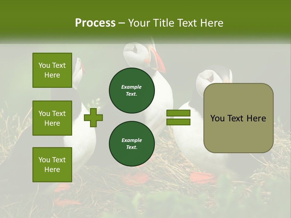 Cold White Condition PowerPoint Template