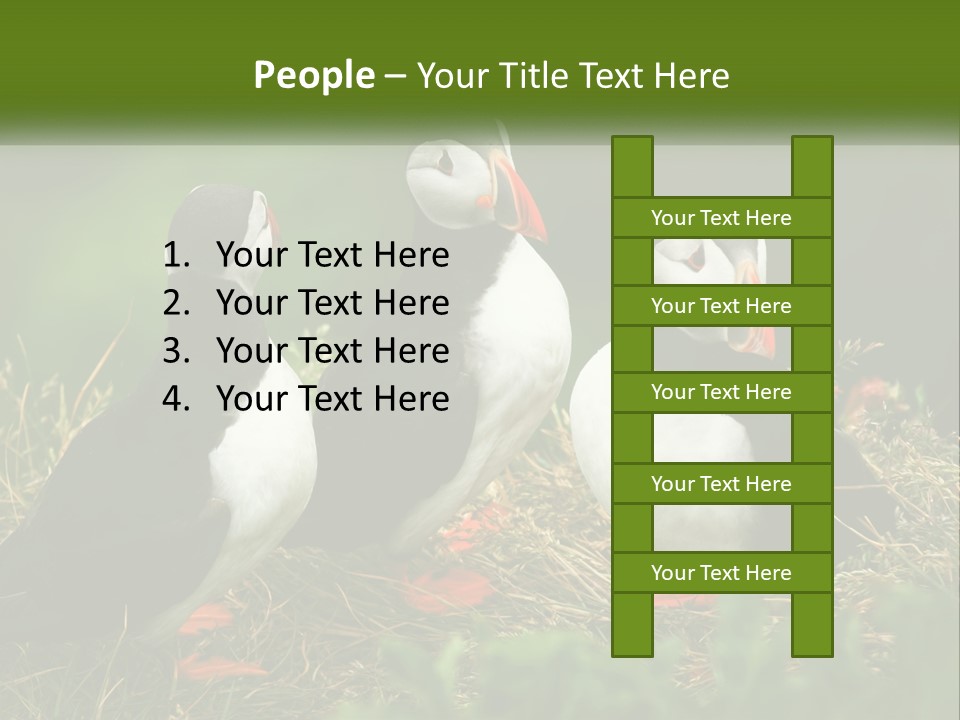 Cold White Condition PowerPoint Template