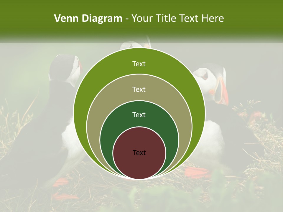 Cold White Condition PowerPoint Template