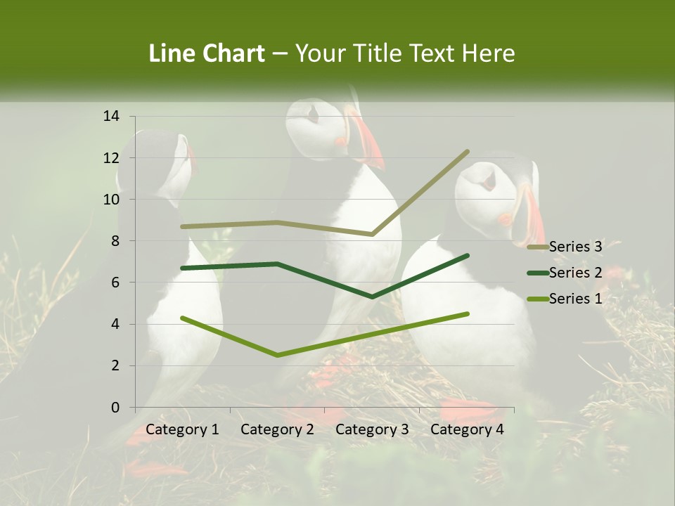 Cold White Condition PowerPoint Template
