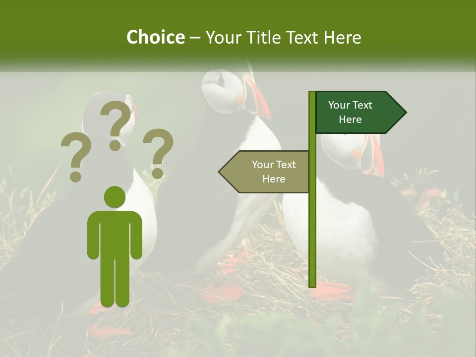 Cold White Condition PowerPoint Template