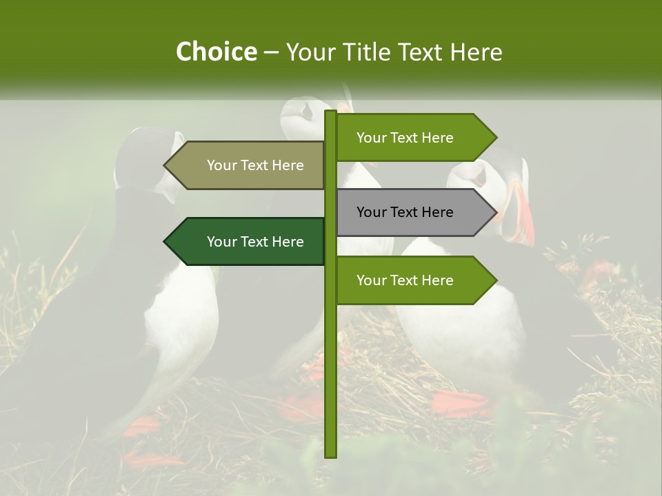 Cold White Condition PowerPoint Template