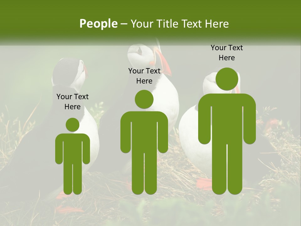 Cold White Condition PowerPoint Template